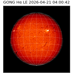 gong - 2026-04-21T04:00:42