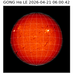 gong - 2026-04-21T06:00:42