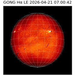 gong - 2026-04-21T07:00:42