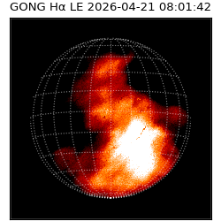 gong - 2026-04-21T08:01:42