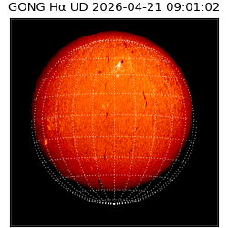 gong - 2026-04-21T09:01:02