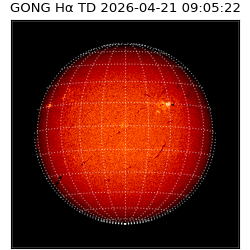 gong - 2026-04-21T09:05:22