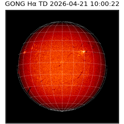 gong - 2026-04-21T10:00:22