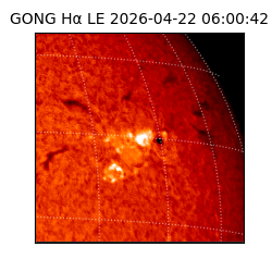 gong - 2026-04-22T06:00:42