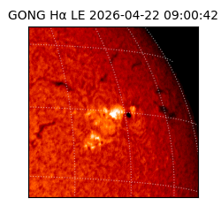 gong - 2026-04-22T09:00:42