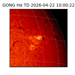 gong - 2026-04-22T10:00:22