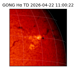 gong - 2026-04-22T11:00:22
