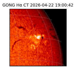 gong - 2026-04-22T19:00:42