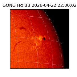 gong - 2026-04-22T22:00:02