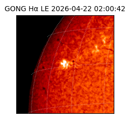gong - 2026-04-22T02:00:42
