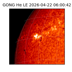 gong - 2026-04-22T06:00:42