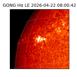 gong - 2026-04-22T08:00:42