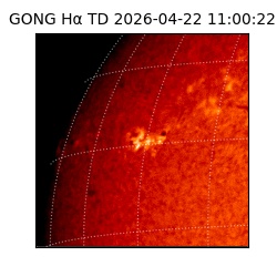 gong - 2026-04-22T11:00:22