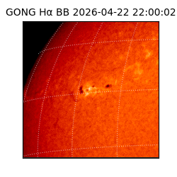 gong - 2026-04-22T22:00:02