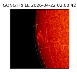 gong - 2026-04-22T02:00:42