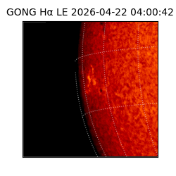 gong - 2026-04-22T04:00:42