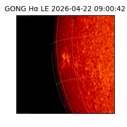 gong - 2026-04-22T09:00:42
