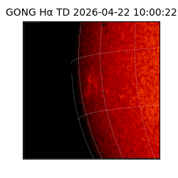 gong - 2026-04-22T10:00:22