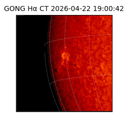 gong - 2026-04-22T19:00:42