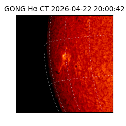 gong - 2026-04-22T20:00:42