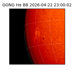 gong - 2026-04-22T23:00:02