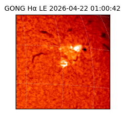 gong - 2026-04-22T01:00:42