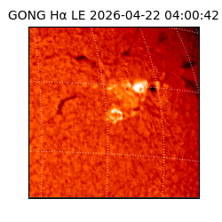 gong - 2026-04-22T04:00:42