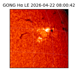 gong - 2026-04-22T08:00:42