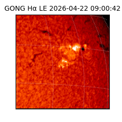 gong - 2026-04-22T09:00:42