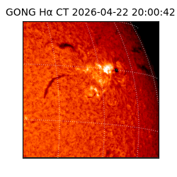 gong - 2026-04-22T20:00:42