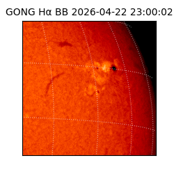 gong - 2026-04-22T23:00:02