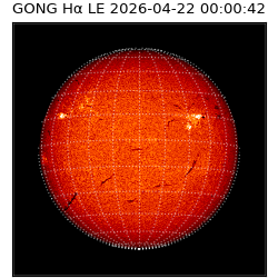 gong - 2026-04-22T00:00:42
