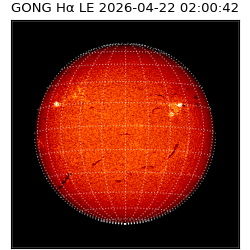 gong - 2026-04-22T02:00:42