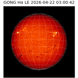 gong - 2026-04-22T03:00:42
