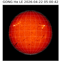 gong - 2026-04-22T05:00:42
