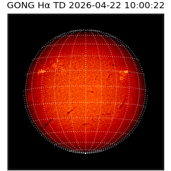 gong - 2026-04-22T10:00:22