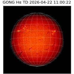 gong - 2026-04-22T11:00:22