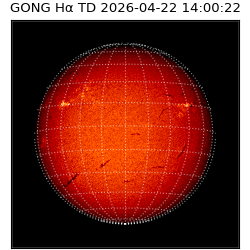 gong - 2026-04-22T14:00:22