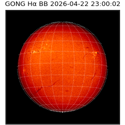 gong - 2026-04-22T23:00:02