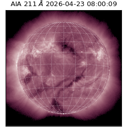 saia - 2026-04-23T08:00:09.624000
