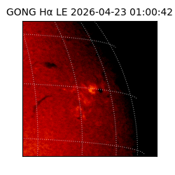 gong - 2026-04-23T01:00:42