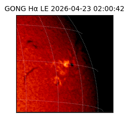 gong - 2026-04-23T02:00:42
