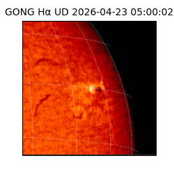 gong - 2026-04-23T05:00:02