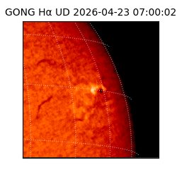 gong - 2026-04-23T07:00:02