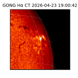 gong - 2026-04-23T19:00:42
