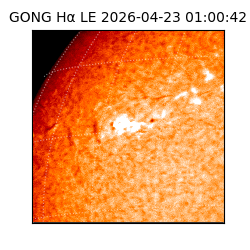 gong - 2026-04-23T01:00:42