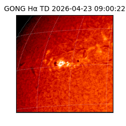 gong - 2026-04-23T09:00:22