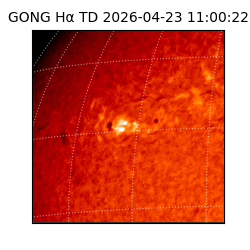 gong - 2026-04-23T11:00:22