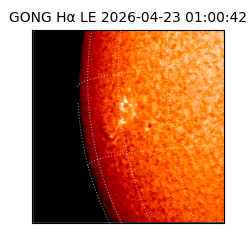 gong - 2026-04-23T01:00:42