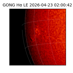gong - 2026-04-23T02:00:42